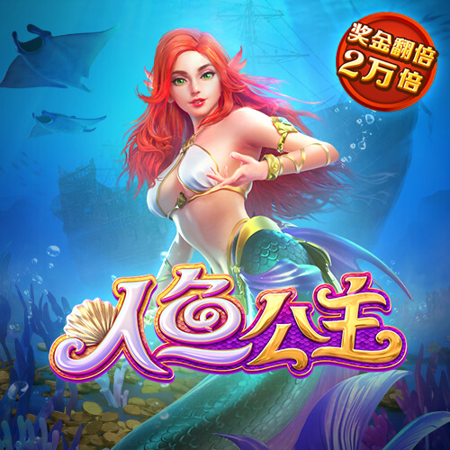 b33体育官网入口